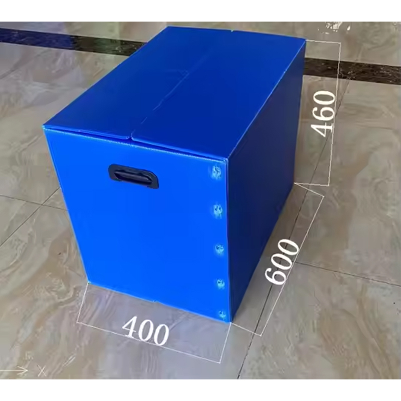 Hộp lưu trữ bằng nhựa PP có khóa dán Velcro có lỗ cầm tay