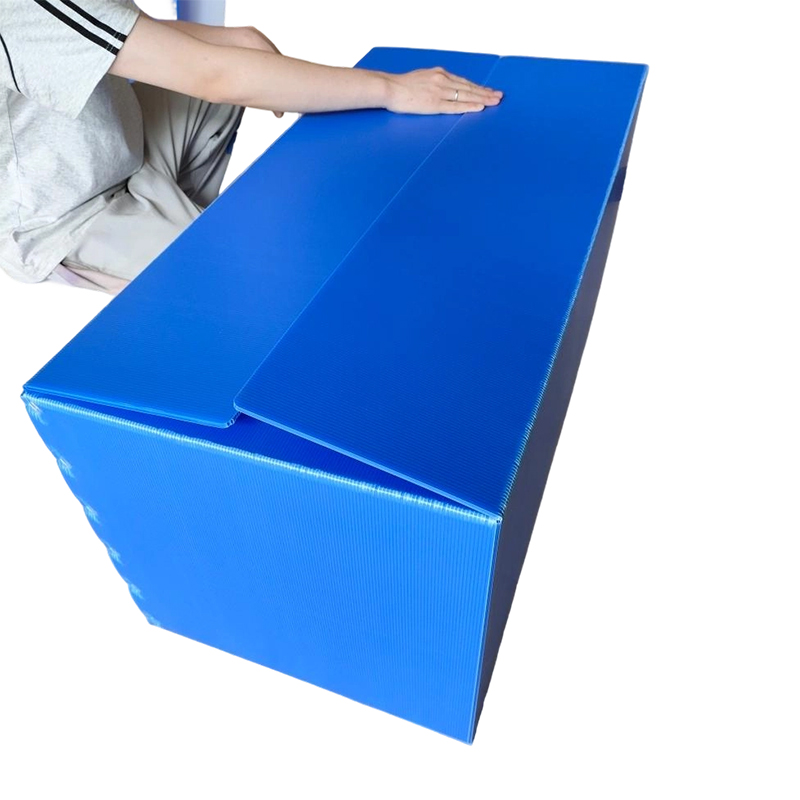 Hộp ván rỗng PP có thể xếp chồng lên nhau không thấm nước