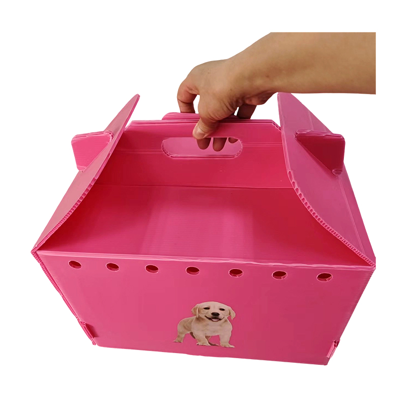 Thùng đựng vật nuôi bằng nhựa có nhiều lỗ khí có thể gập lại