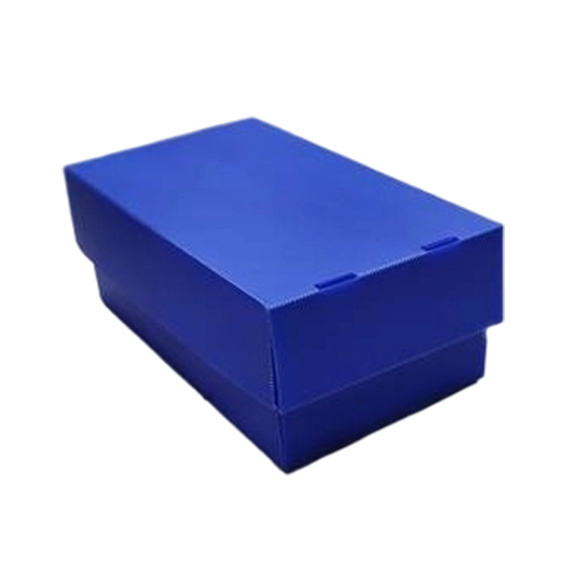 Hộp bìa trên và dưới bằng nhựa có thể gập lại chống bụi
