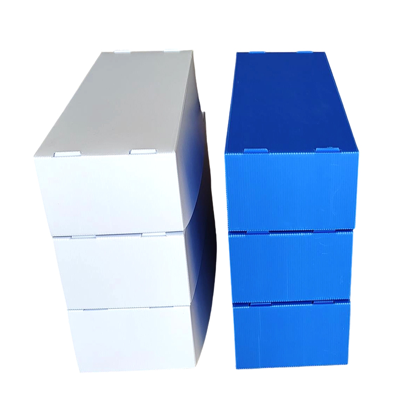Hộp đựng hải sản bằng nhựa Corflute có thể xếp chồng lên nhau chống ẩm