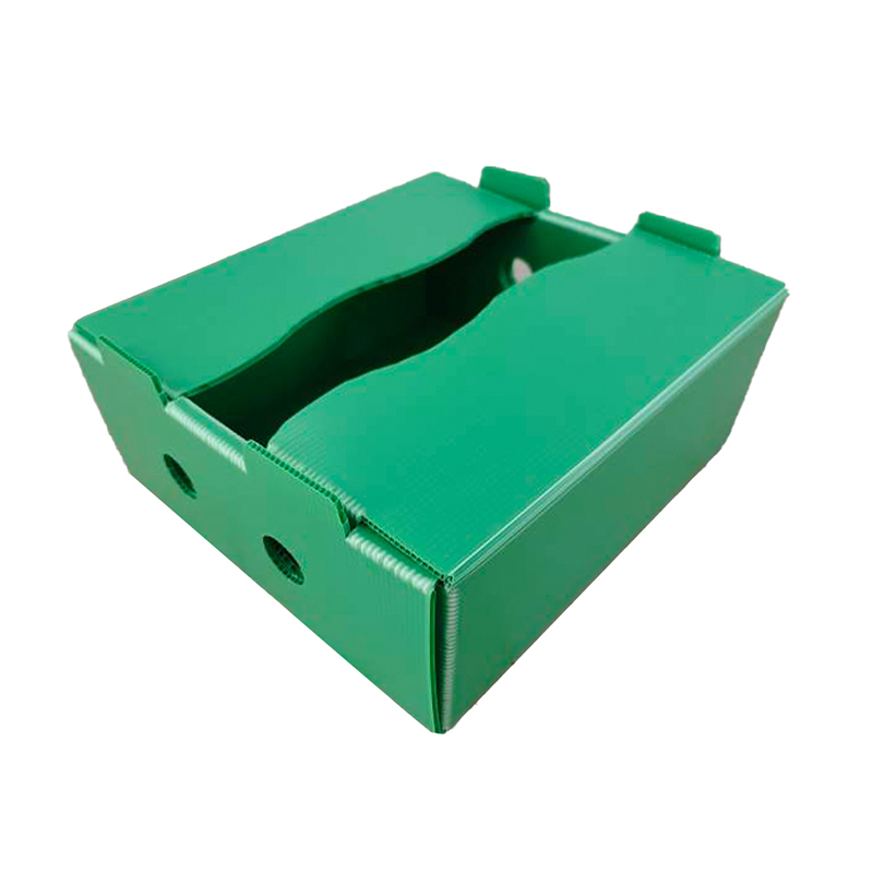 Hộp doanh thu trái cây bằng nhựa PP được in tùy chỉnh chống ẩm