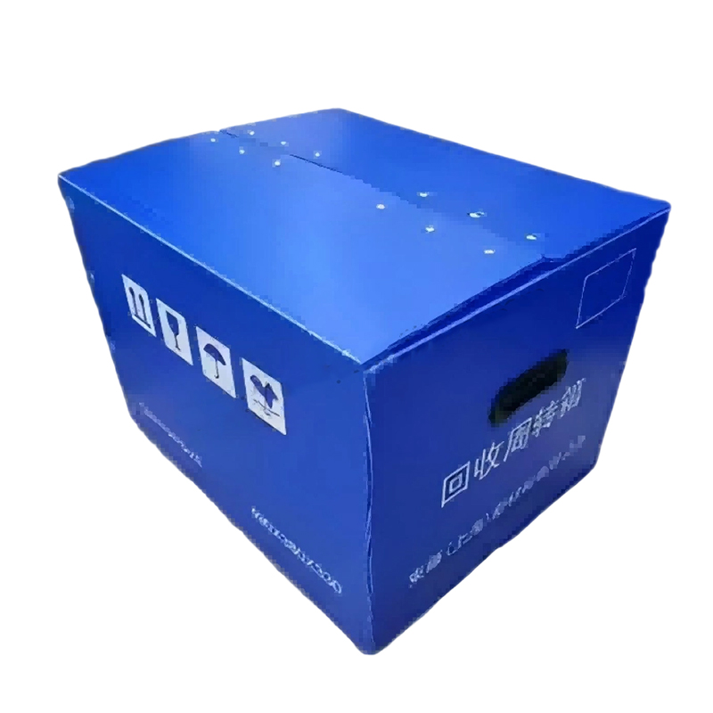 Hộp di chuyển bằng nhựa PP có lỗ cầm tay có nắp Velcro