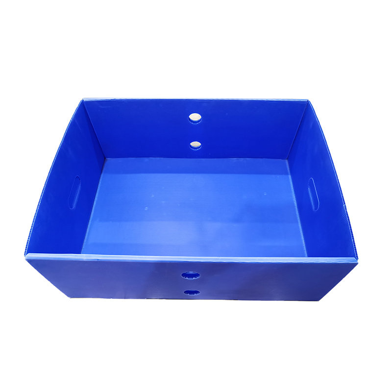 Hộp bìa trên và dưới bằng nhựa có thể tái sử dụng