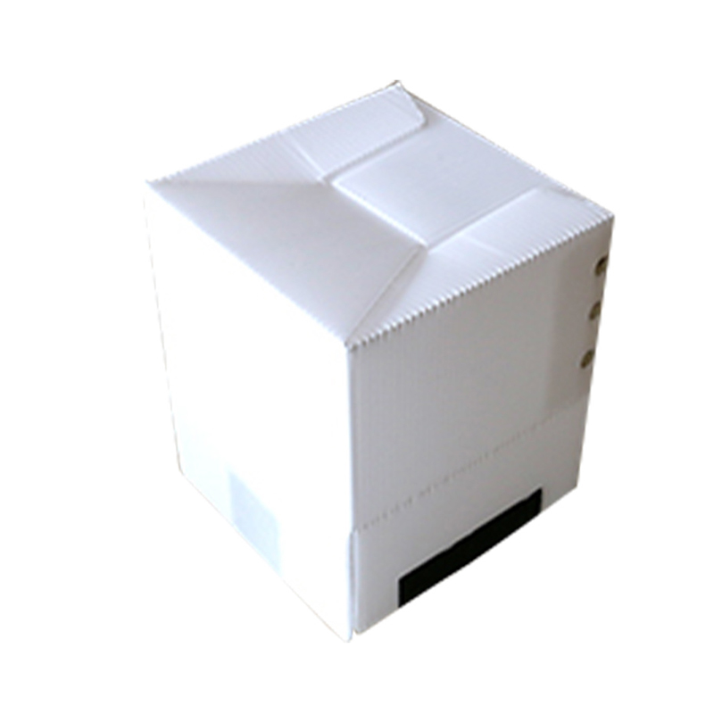 Hộp tấm rỗng PP có thể tái chế hình vuông có dây buộc Velcro