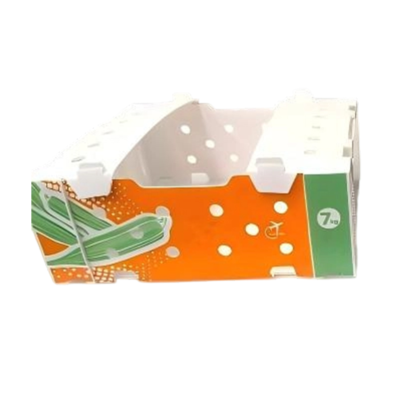Hộp sóng PP in có thể gập lại cho rau và trái cây