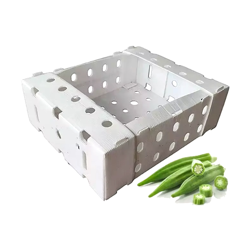 Mở hộp đóng gói trái cây bằng nhựa có thể xếp chồng lên nhau