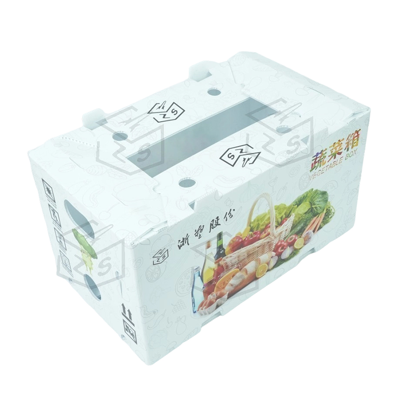 Hộp trái cây Corflute PP chống nước có thể tái sử dụng