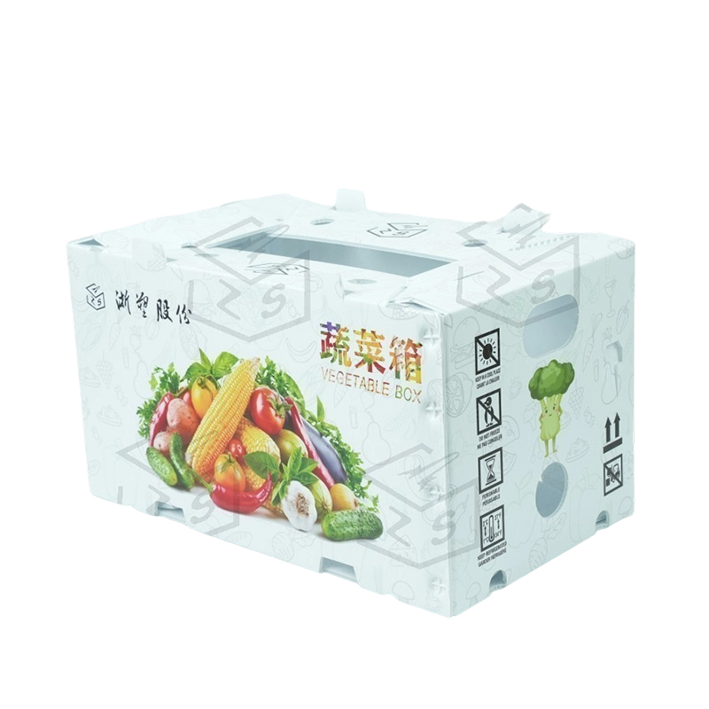 Hộp trái cây Corflute PP chống nước có thể tái sử dụng