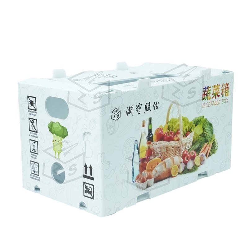 Hộp trái cây Corflute PP chống nước có thể tái sử dụng