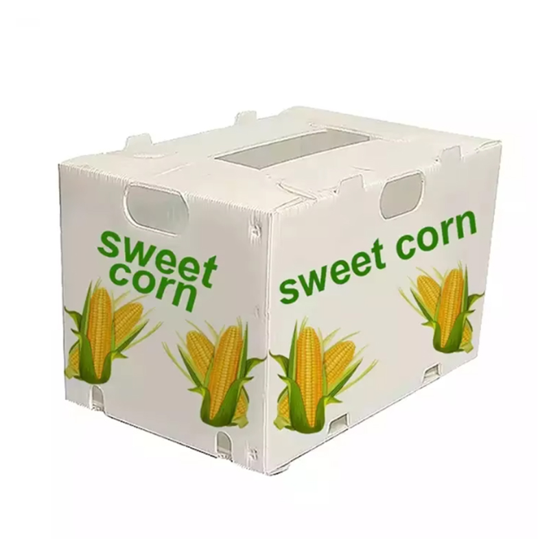 Hộp trái cây Corflute PP chống nước có thể tái sử dụng